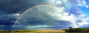 雨后的彩虹 - 美丽的景色作文350字