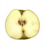 苹果 - 描写水果的作文200字