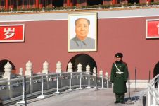 毛泽东让中国人民站起来读后感800字