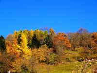 俯瞰秋色美景如画 - 秋天的色彩作文600字