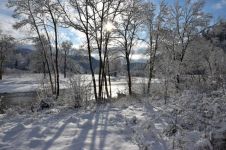 冬天的田野 - 关于冬天的写景作文800字