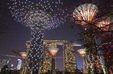 新加坡之行——滨海南花园作文900字