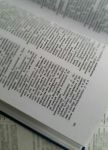 旧词典的自述 - 想象作文250字