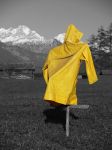 一件黄色的雨衣 - 状物作文450字