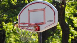 篮球入门 - 关于篮球的作文450字