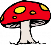 采蘑菇 - 二年级童话故事作文500字