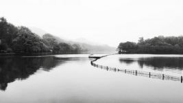 清，绿，美——游杭州西湖有感 - 暑假的旅行作文400字