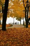 秋天来了 - 公园里的秋天作文300字