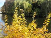 小河边的秋天 - 描写秋天的作文600字