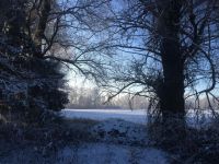 心动在浮云积雪的冬季 - 冬天的风景作文700字