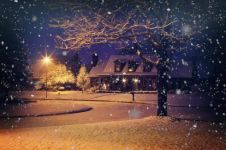雪夜 - 描写下雪的作文900字