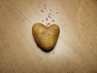 做拉花土豆 - 有关美食的状物作文200字