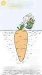 小兔胡萝卜种子看图写话