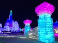 哈尔滨冰雪大世界奇妙之旅作文500字