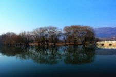 美丽的西溪湿地 - 写景作文350字