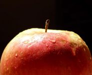苹果 - 水果说明文350字