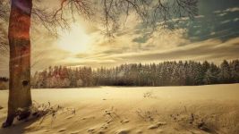 冬天的雪景 - 自然作文500字