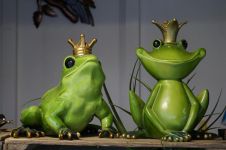 小青蛙和癞蛤蟆 - 童话作文450字