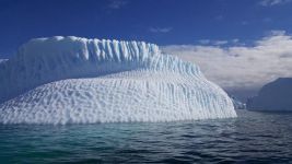 南极冰川 - 历险记作文400字