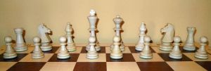 一局棋的启示 - 关于下棋的作文1200字