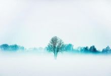 冬雾 - 自然作文300字