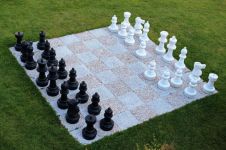 国际象棋 - 难忘的一件事作文250字