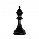我是象棋迷作文
