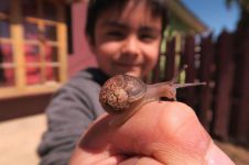 蜗牛旅行记 - 二年级童话作文300字