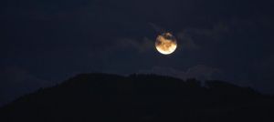 中秋节美景 - 夜空中的月亮作文700字