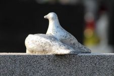小白鸽雕塑