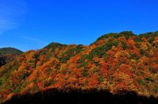 名山的秋天 - 描写秋天的作文600字