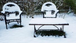 下雪了 - 校园的雪景作文600字