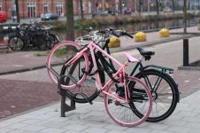 粉红色自行车作文300字