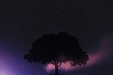 夜晚，一棵大树下的故事 - 童话故事作文400字