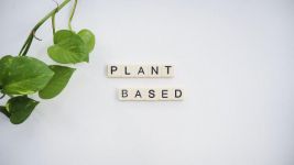植物运动员 - 以植物为话题的作文400字