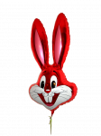 小兔的红气球看图写话作文