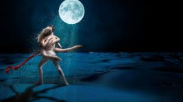 月光下的舞者 - 描写夜景的作文400字