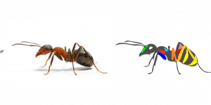 蚂蚁的力量作文例子