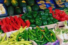 热闹的菜市场 - 关于蔬菜的作文500字