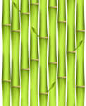 竹子的哲理 - 关于植物的作文800字