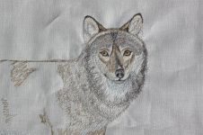 老狼 - 三年级童话作文400字