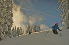 滑雪 - 关于运动的作文500字