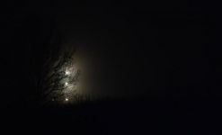 农村的夜 - 描述夜景的作文400字