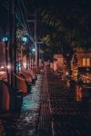 街道夜景 - 关于夜晚的作文400字
