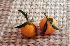 小橘子 - 描写水果的作文500字