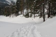 白雪皑皑的冬天 - 描写雪景的作文800字