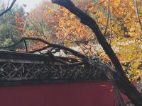 北京的秋天作文500字