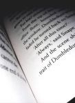 我喜欢的一本书 - 《哈利波特与魔法石》读后感600字