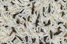 最香的稻米 - 记一次活动作文450字