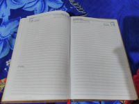 懒人日记 - 日记一则500字